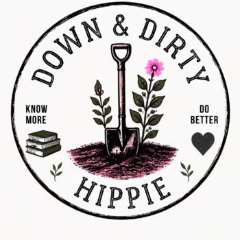 ddh (logo)