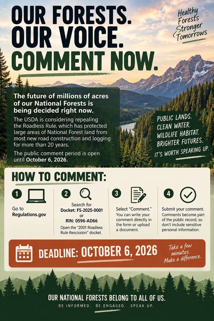 Home national forest flyer